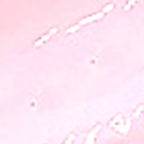 LAYLAGEL POLISH (107-206)
