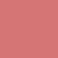 COMPACT BLUSHER TOP COVER