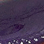 LAYLAGEL POLISH (107-206)