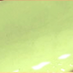 LAYLAGEL POLISH (107-206)