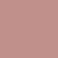 COMPACT BLUSHER TOP COVER