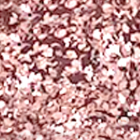 LAYLAGEL POLISH (107-206)