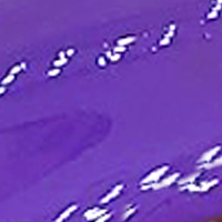 LAYLAGEL POLISH (207-239)