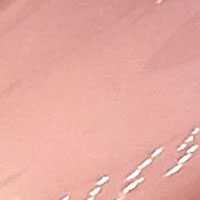 LAYLAGEL POLISH 