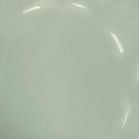 3.0 HYBRID NAIL POLISH