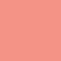 COMPACT BLUSHER TOP COVER